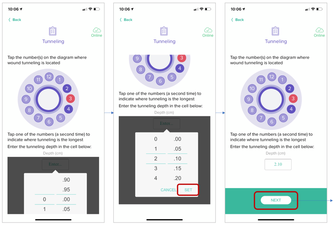 Screen Shot 2021-02-22 at 11.46.14 AM