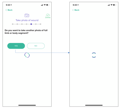 Screen Shot 2021-11-03 at 9.44.06 AM