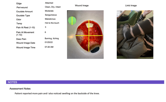 Screen Shot 2022-01-31 at 3.14.41 PM